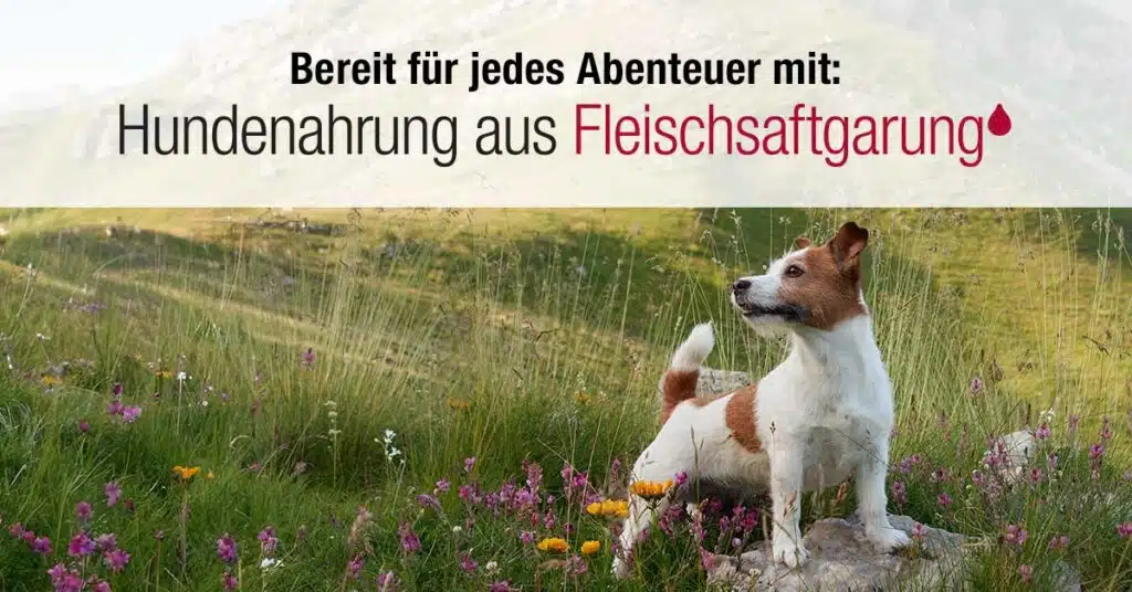Hundenahrung aus Fleischsaftgarung - Platinum Hundefutter